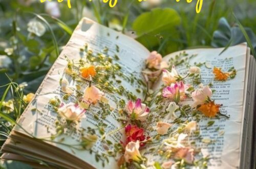 Mis lecturas del mes de mayo